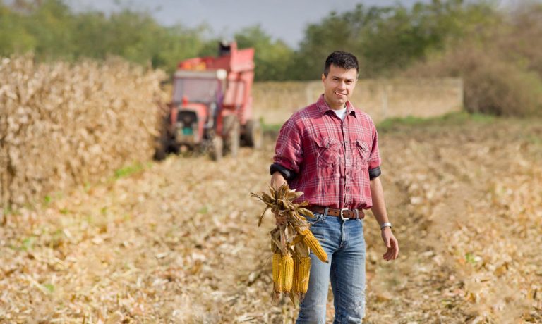 Top 10 agricultori in Romania